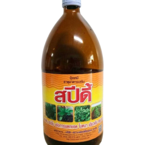 สปีดี้