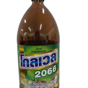 โกลเวล2066