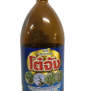 โต๋จัง