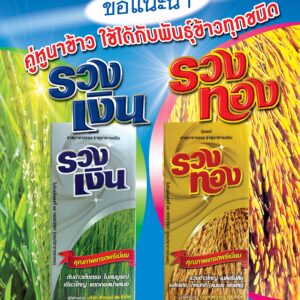 รวงทอง
